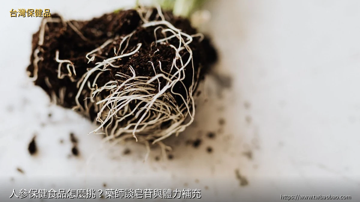 人參保健食品怎麼挑？藥師談皂苷與體力補充