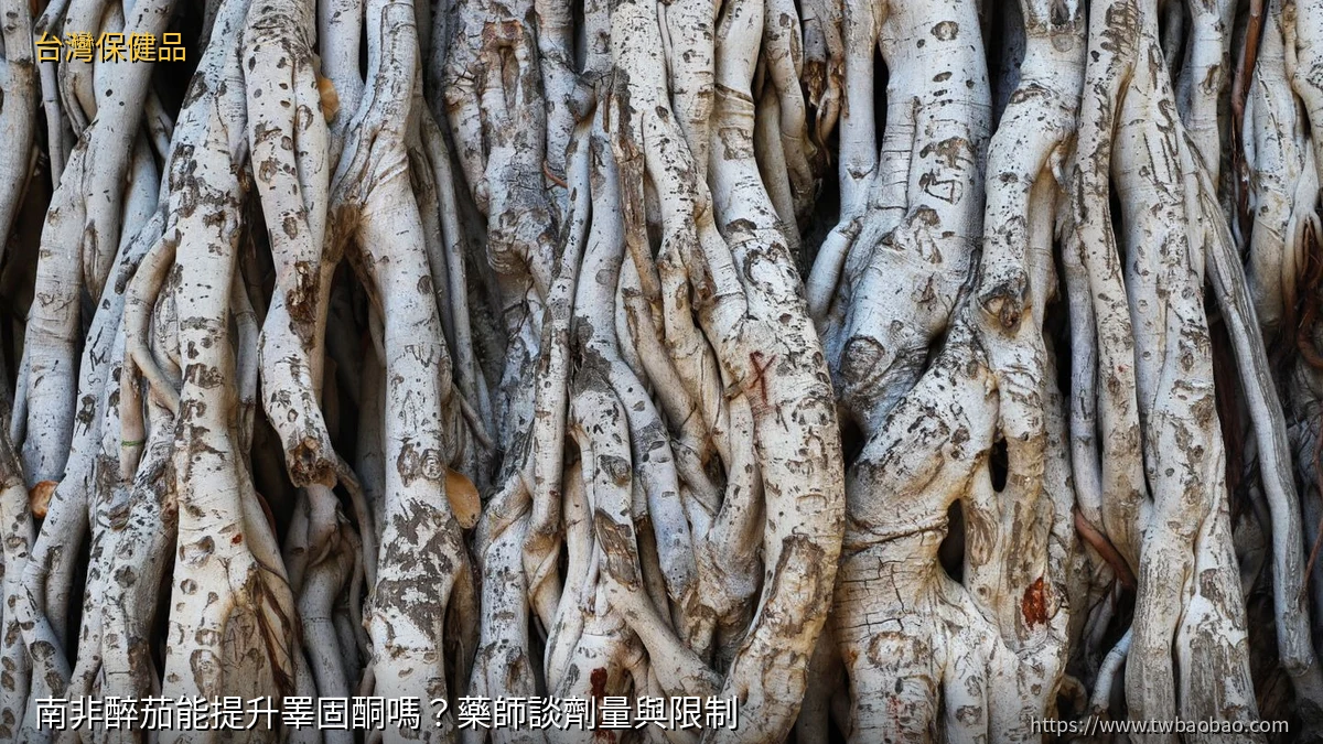 南非醉茄能提升睪固酮嗎？藥師談劑量與限制